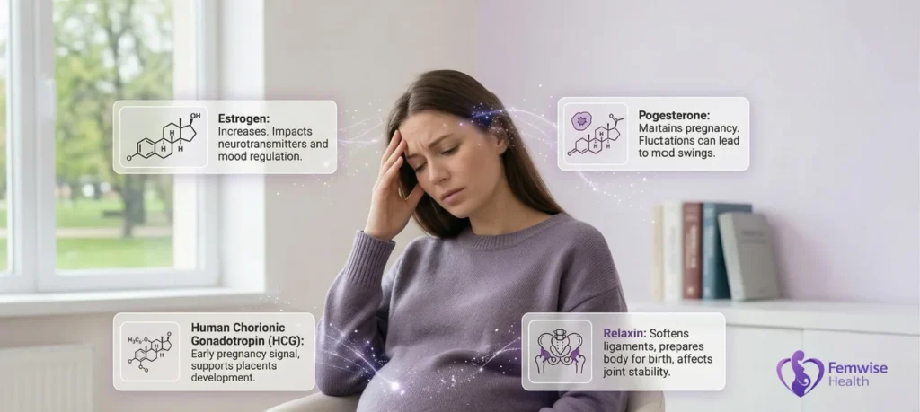 Hormonal Changes During Pregnancy