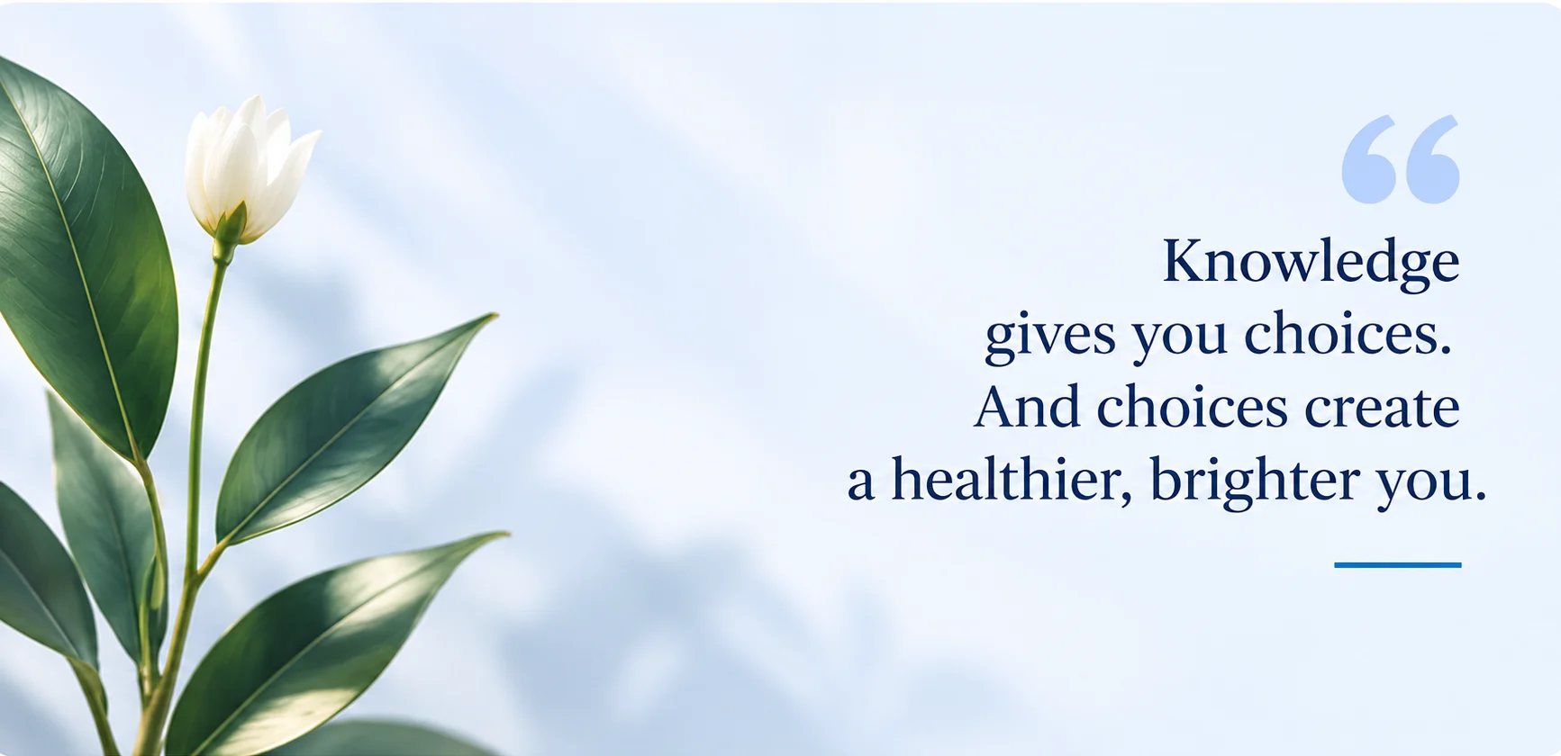 femwise-health-about-quote